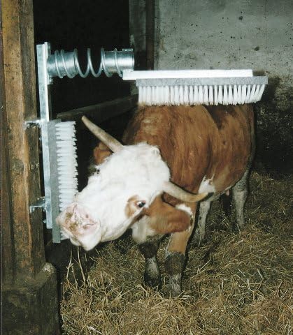Brosse à vache Eurofarm