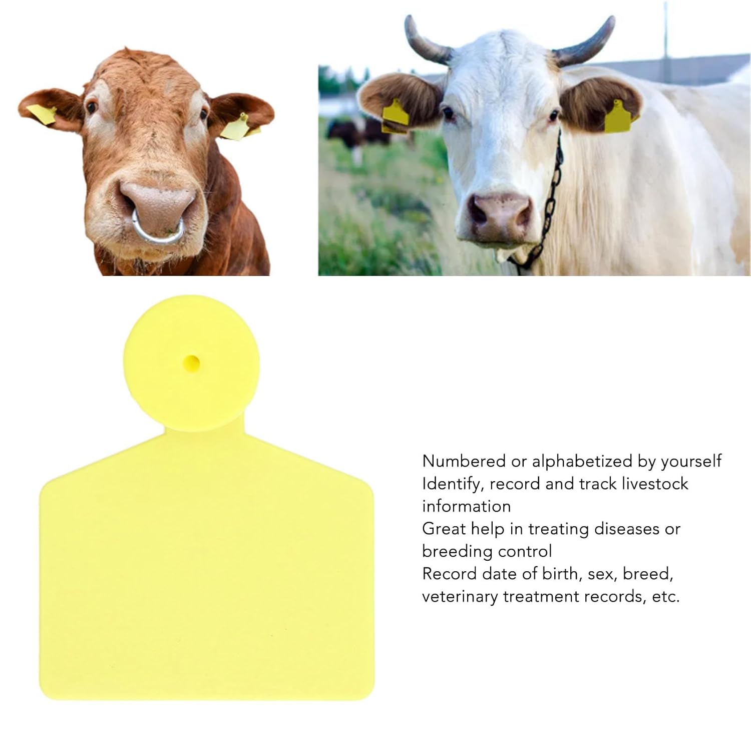 Lot de 100 boucles auriculaires jaunes pour bovins - Identification animale - Fournitures pour la manipulation du bétail