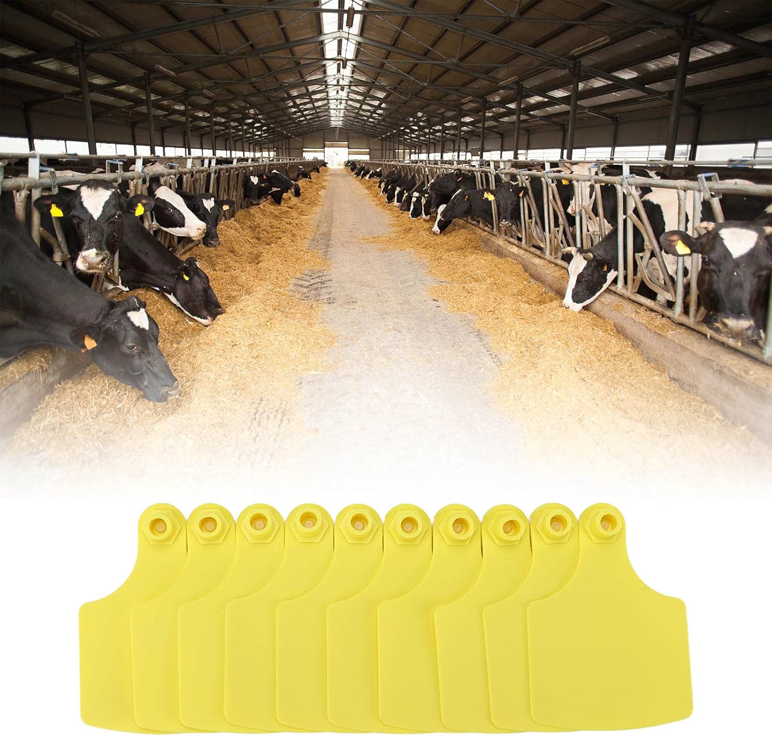 Lot de 100 boucles d'oreille en plastique pour le marquage des bovins et des vaches - Accessoires pour la ferme.