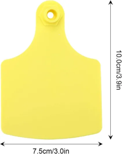 41NsSVHgG5L._AC_SL1500_