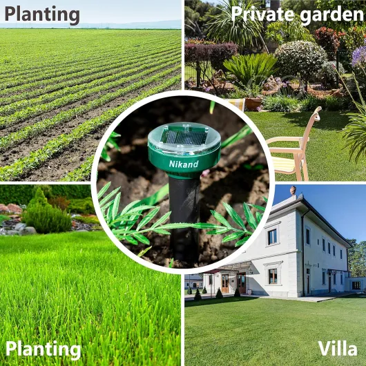 A1fZaYFqB L._AC_SL1500_