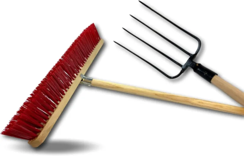 61gShsBg9QL._AC_SL1500_