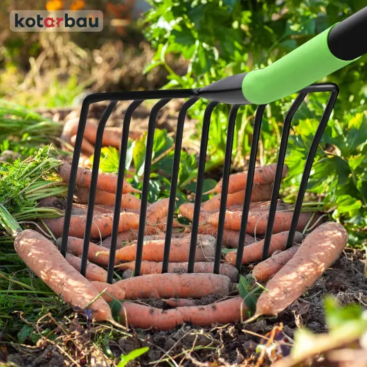 81q-rdXxoEL._AC_SL1500_