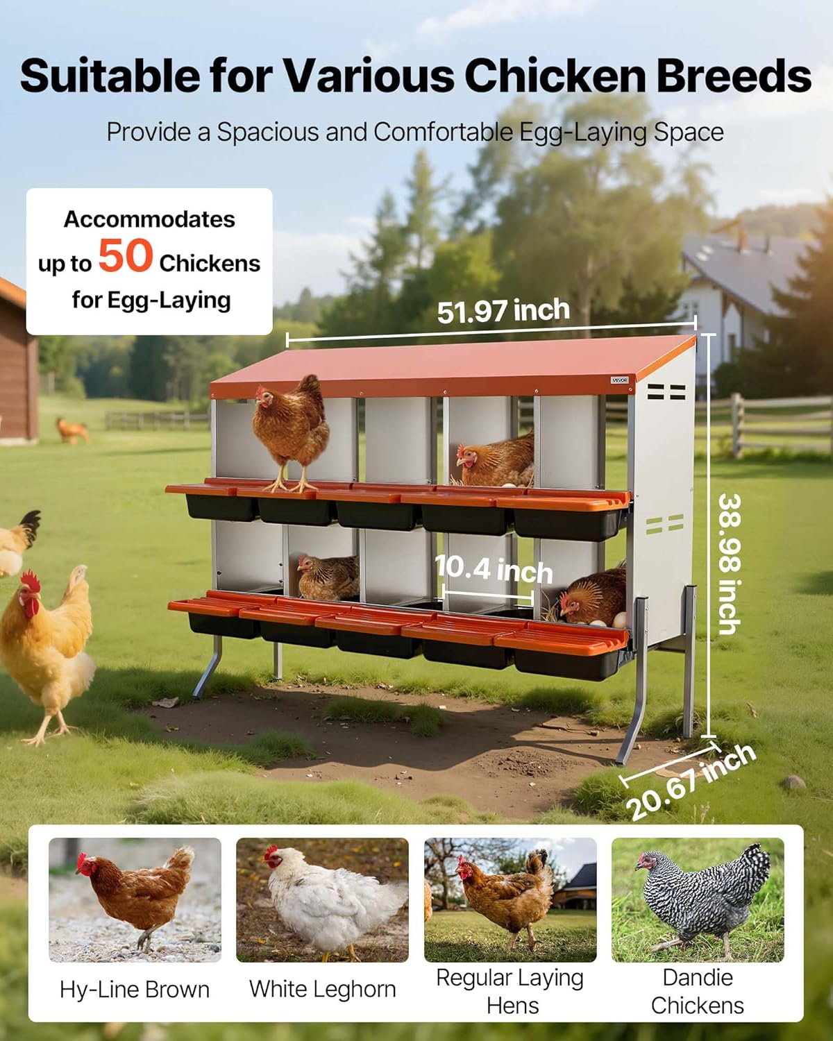 Pondoir à Poules 10 Compartiments Nichoir à Poule en Acier Galvanisé et Plastique Haute Résistance pour Différentes Races de Poules, avec Pieds de Support Espace Ponte Spacieux, 132x52,5x99 cm Orange L 132 x l 53 x H 99 cm