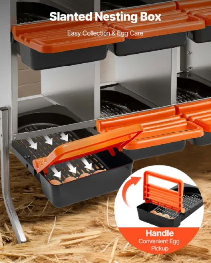 81kY0FC0-mL._AC_SL1500_