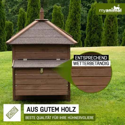 81ToSFRsJYS._AC_SL1200_