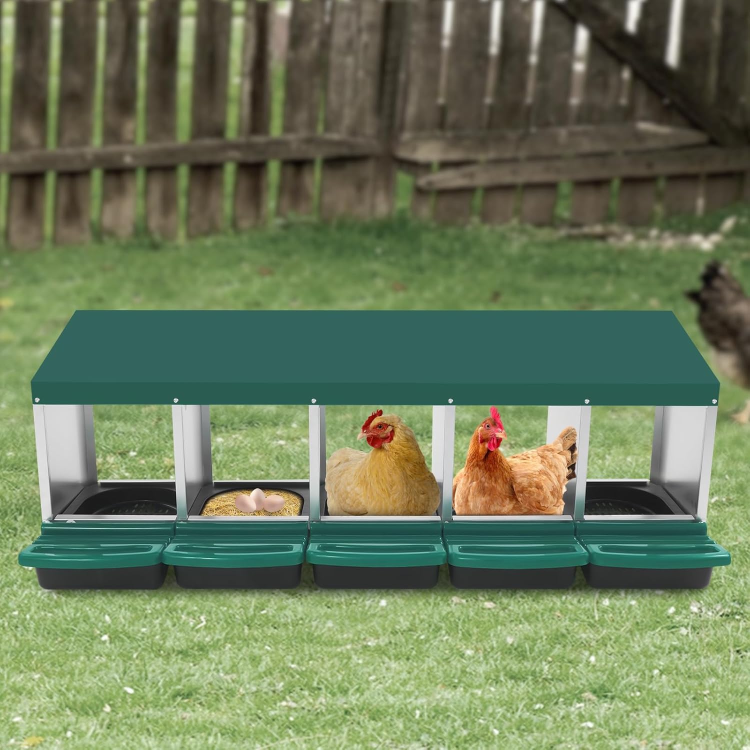 Pondoir à 5 compartiments - Nid de poules avec fond incliné et trous d'aération - Nid à roulettes en plastique pour montage mural/autoportant (vert)