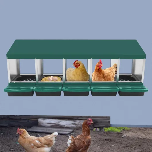 71jsbdRj3EL._AC_SL1500_