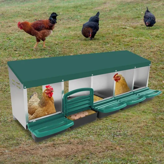 81nUJZ4ZStL._AC_SL1500_