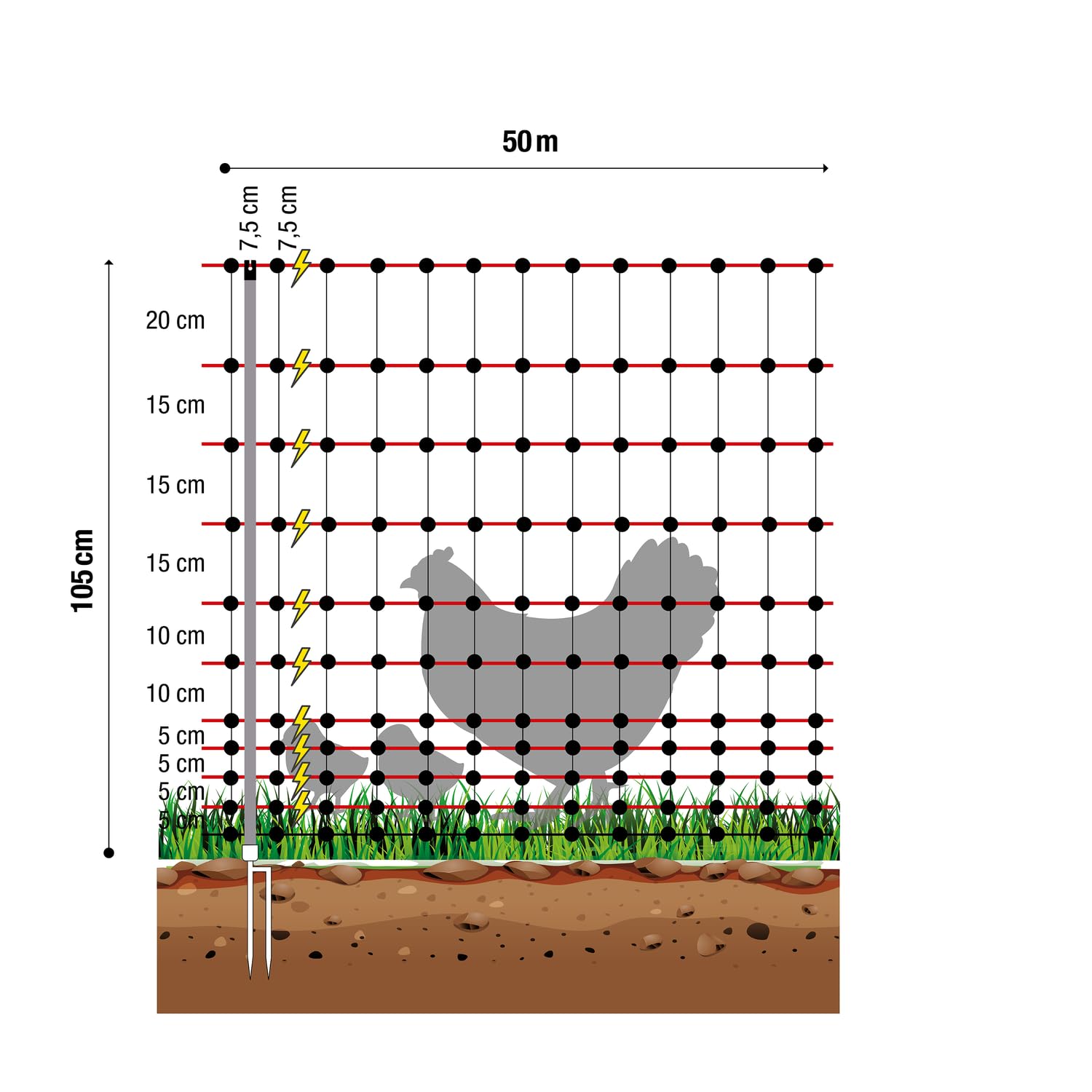 Geflügelnetz easyLine 50 m – Clôture mobile pour volailles de 105 cm de haut avec double pointe, électrifiable – idéal comme clôture pour poules, aire de promenade pour poules ou clôture