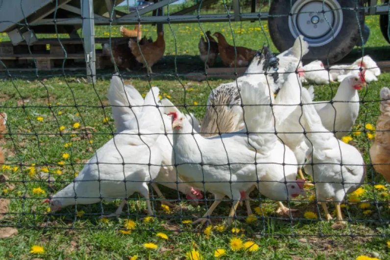 81--ToiPYEL._SL1500_