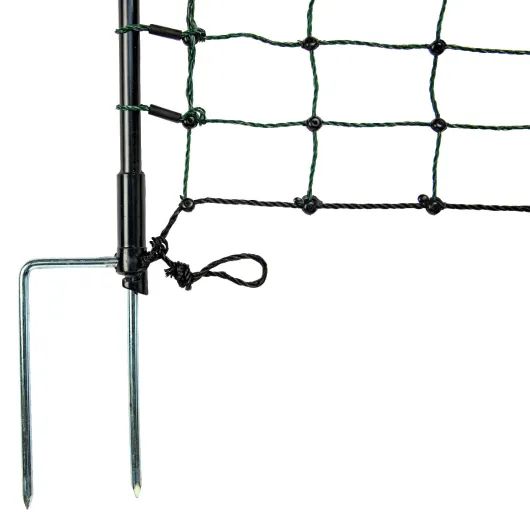 61YYbCRYgoL._SL1500_