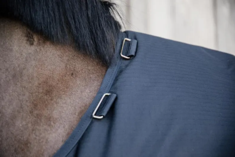 61scNIemuzL._AC_SL1000_