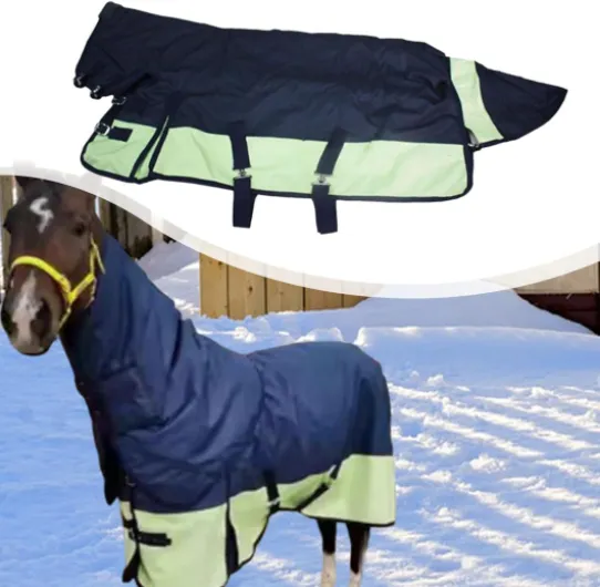 71ebxrsRv8L._AC_SL1500_