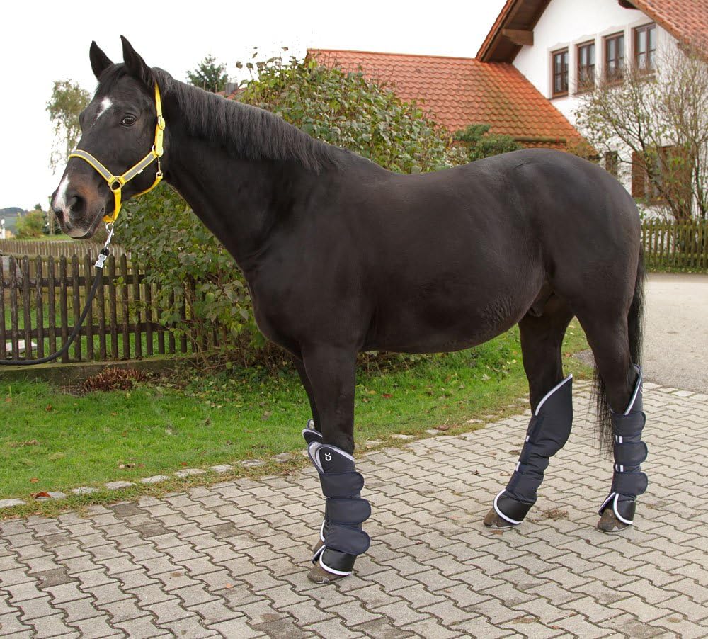 KERBL 32452 Set de 4 Guêtres de Transport pour Demi-Sang Bleu Foncé