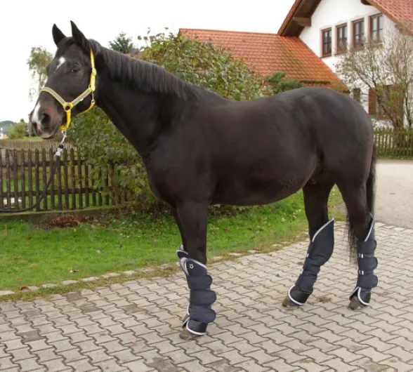 KERBL 32452 Set de 4 Guêtres de Transport pour Demi-Sang Bleu Foncé