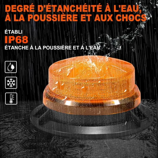 81W53TNsLWL._AC_SL1500_