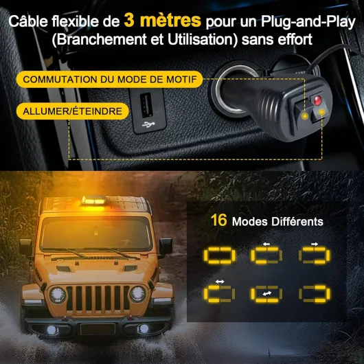 81JCoyvDy4L._AC_SL1500_