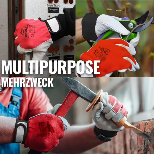 71esuDVz8WL._SL1500_