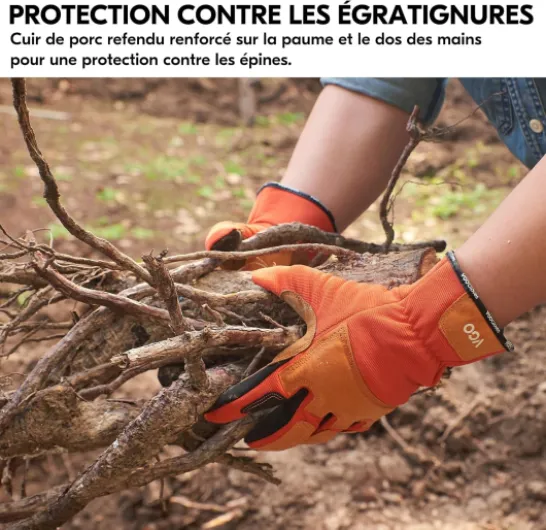 81 0-hUD9 L._AC_SL1500_