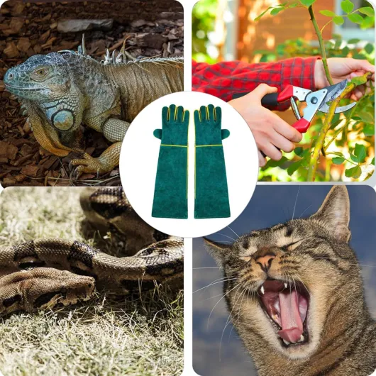 Anti-Morsure Gants de Manutention pour Animal, 60cm Gants de Travail en Cuir Polyvalents pour le Soudage, le Jardinage ou la Manipulation de Chiens/Chats/Oiseaux/Lézards/Faucons/Reptiles