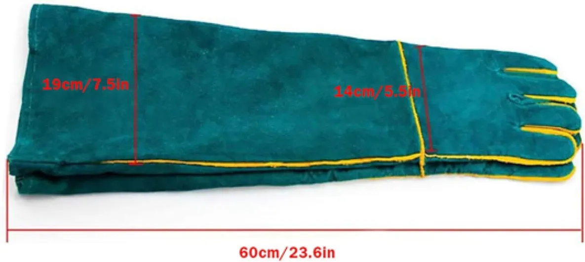 61FZ36mf0hL._AC_SL1500_