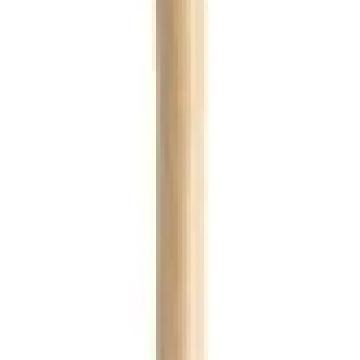 Test Leborgne Croc à fumier 4 dents : l’outil simple qui fait le boulot au potager