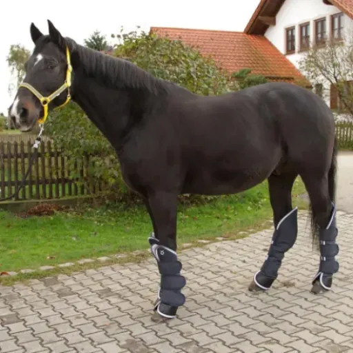 Test KERBL 32452 Guêtres de Transport : des protections qui font le job pour les demi-sang