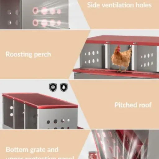 Test nid de pondoir 6 compartiments Niwugady : pratique pour récupérer les œufs, mais pas parfait