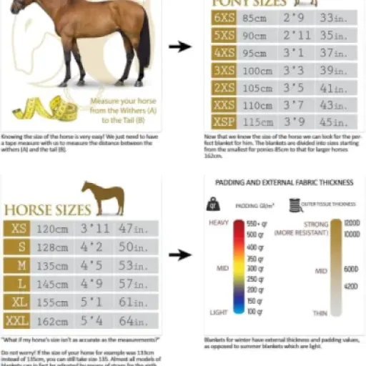 Test Horses Thermo 350g : une couverture de box qui tient vraiment chaud sans compliquer la vie