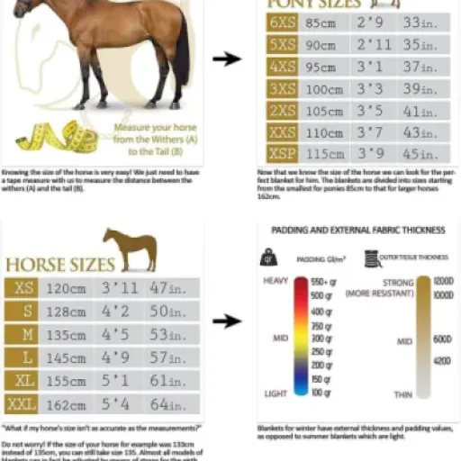 Test Horses Couverture Box Coloured 250g : une couverture correcte pour le box, mais pas sans défauts