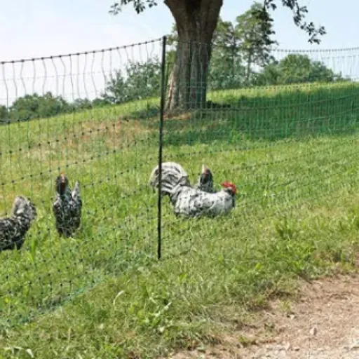 Test Kerbl Filet À Volailles Poultrynet : le filet pratique pour poules, mais pas magique non plus