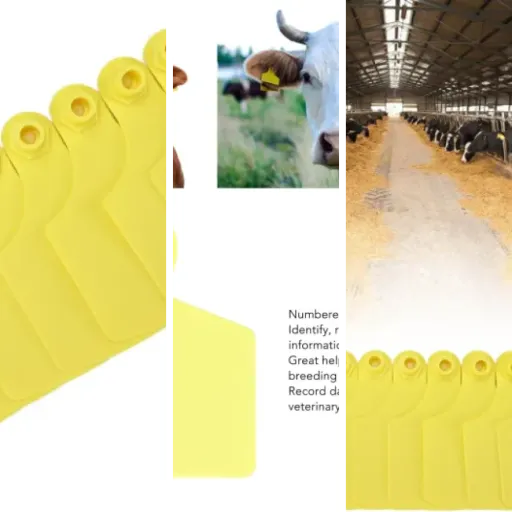 Comparatif des 3 meilleurs matériel d'identification (avril 2026)