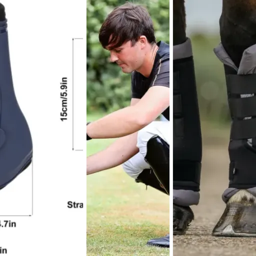 Les meilleurs protections des membres : notre top 8 (avril 2026)