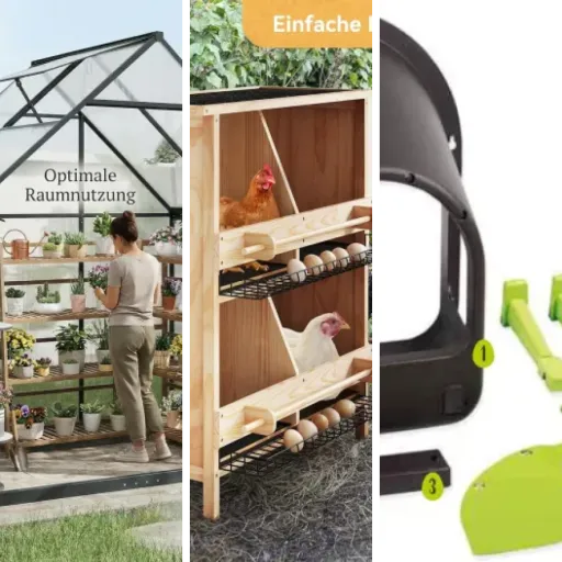 Classement des 13 meilleurs mini-serres (avril 2026)