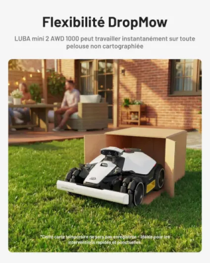 81cQSJkG-cL._AC_SL1500_