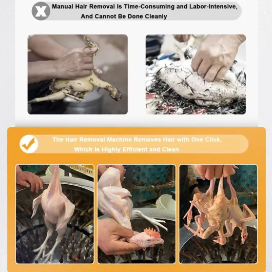 Test Machine à Plumer Le Poulet 30L : ça plume vite, mais pas sans compromis