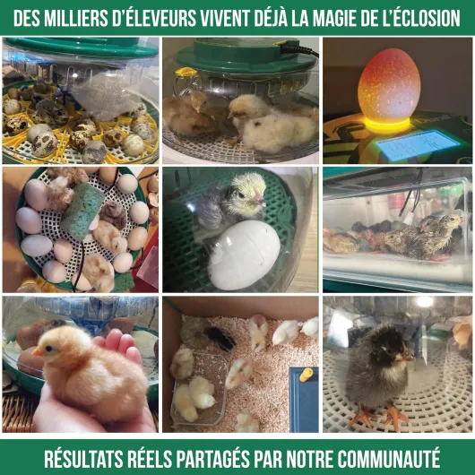 Dural's DX5® - Couveuse œuf automatique - Professionnel & Haute Précison - Certifiée CE - Contrôle de la Température & Humidité - Oeufs de Poule, Caille, Canard - Retournement Œuf automatique (DX5)