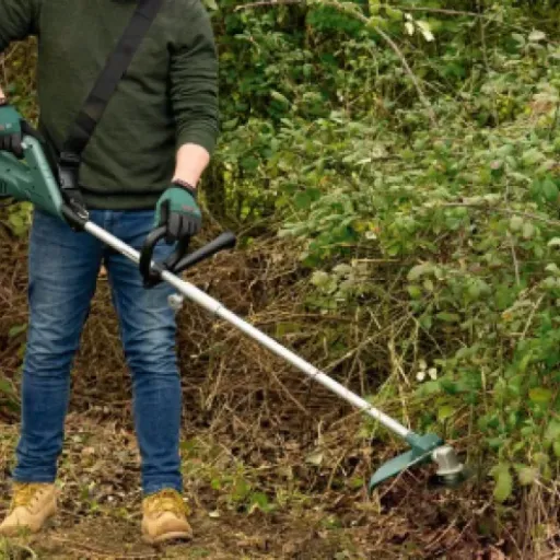Test Bosch AFS 23-37 : la débroussailleuse filaire qui envoie du lourd (dans tous les sens)