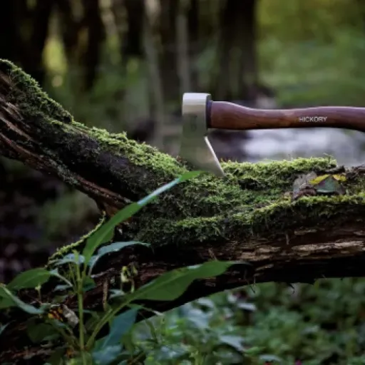 Test RUTHE Hachette Hickory 600 g : la petite hache sérieuse pour le bois de jardin