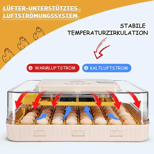 71UXc7ozM1L._SL1500_