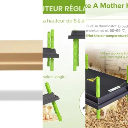 5 meilleurs systèmes de chauffage pour poussins : notre comparatif (juin 2026)