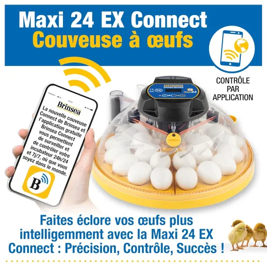 Couveuse Brinsea Maxi 24 EX Connect - Incubateur toutes options pour 24 œufs de poule, contrôlé par application