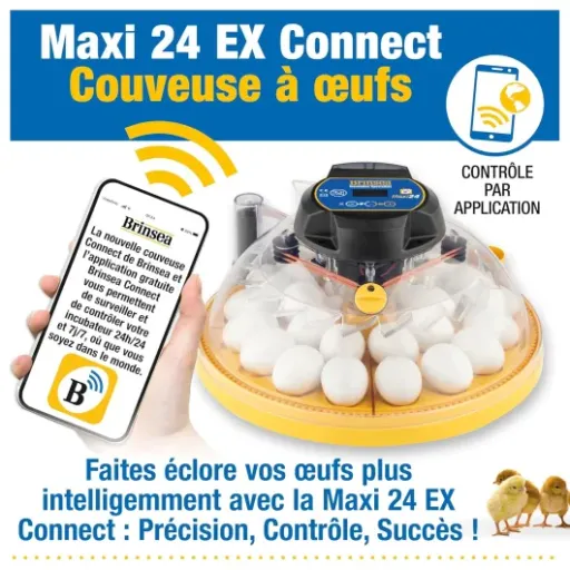 Test Brinsea Maxi 24 EX Connect : la couveuse qui fait (presque) tout à ta place