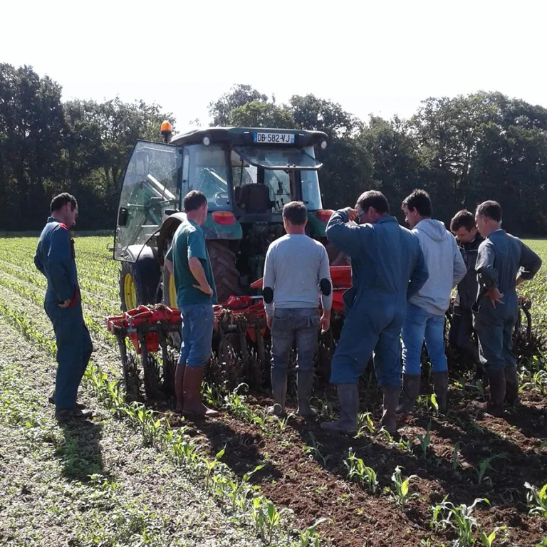 Interview de Clothilde ROMMENS de FRCUMA Occitanie : Innover en agroéquipement et agroécologie au sein des CUMA