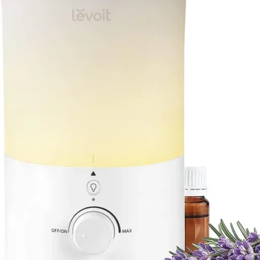Test LEVOIT Dual 150 3L : l’humidificateur simple qui fait le job mais demande de l’huile de coude