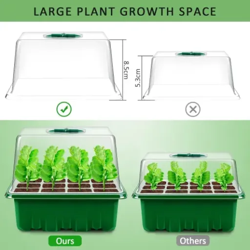 Test YAUNGEL Mini Serre pour Plantes : des petits bacs de semis simples mais efficaces pour démarrer au chaud