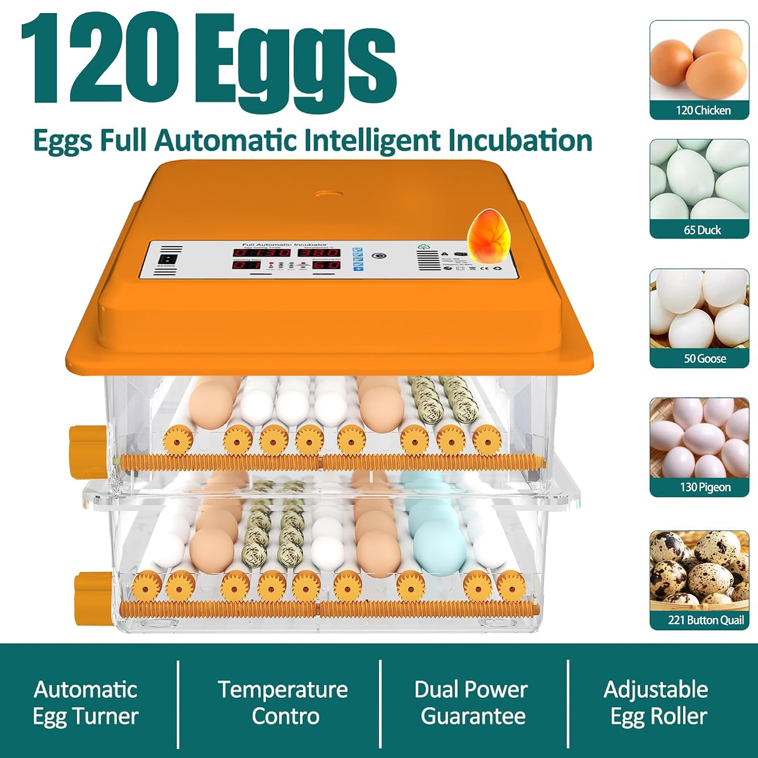 Incubateur d'Oeufs Automatique 120 Oeufs, Couveuse avec Contrôle de Température, Rouleaux Réglables, Ajout d'Eau Automatique et Mire-Oeuf Intégré, Orange Orange - 120 Oeufs
