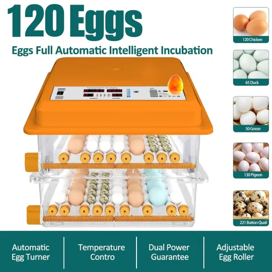 Incubateur d'Oeufs Automatique 120 Oeufs, Couveuse avec Contrôle de Température, Rouleaux Réglables, Ajout d'Eau Automatique et Mire-Oeuf Intégré, Orange Orange - 120 Oeufs