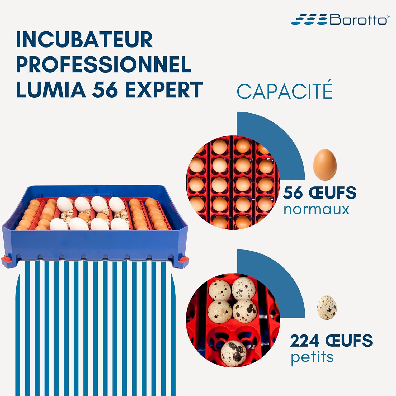 Lumia 56 Expert - Couveuse Oeuf Automatique 56 Oeuf ou 224 Petit avec Retournement Automatique, Contrôle de la Température et Humidificateur Automatique Sirio - Made in Italy 56 œufs